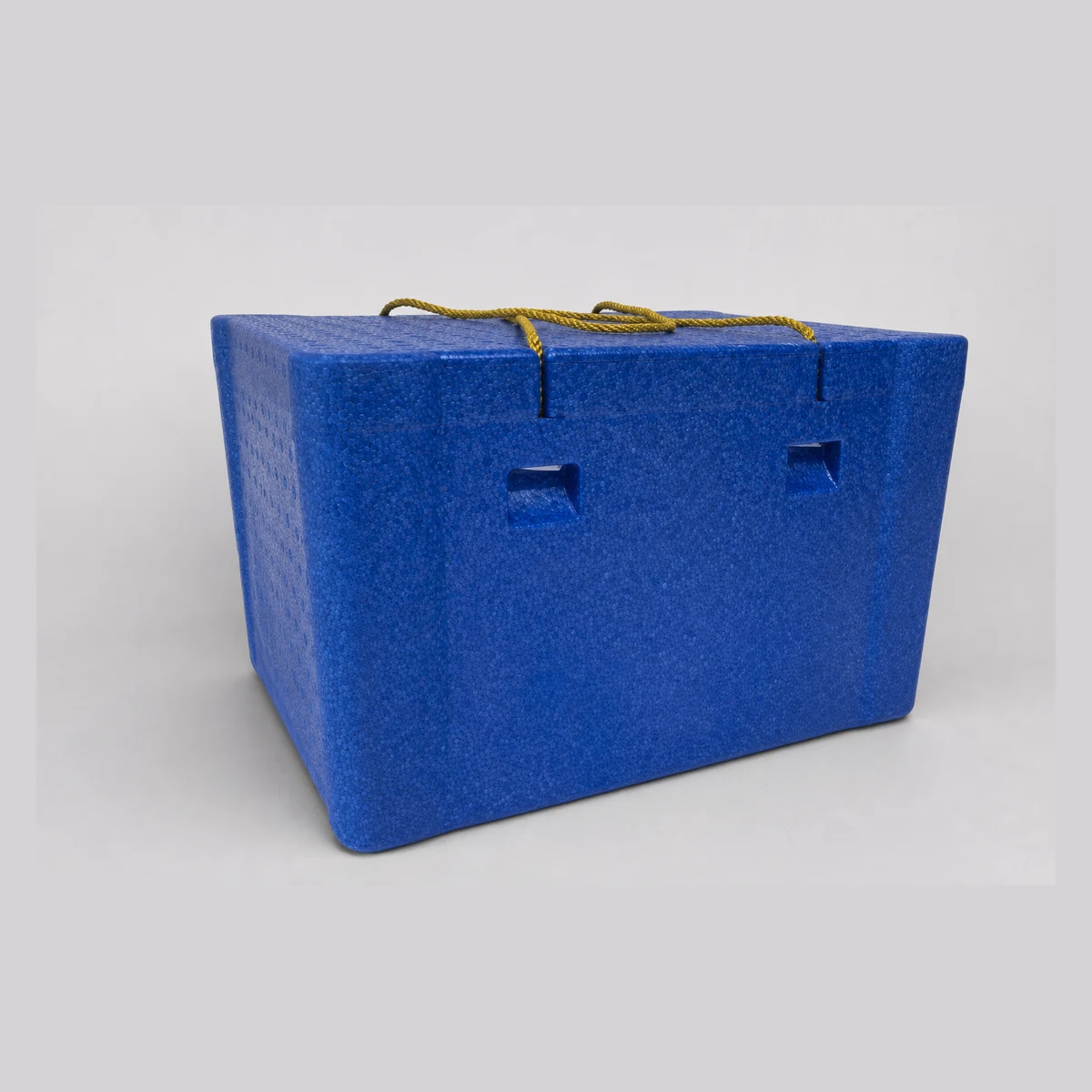 Blue EPP Insulated Box (multiple sizes), model JC2213, Hong Kong commercial equipment