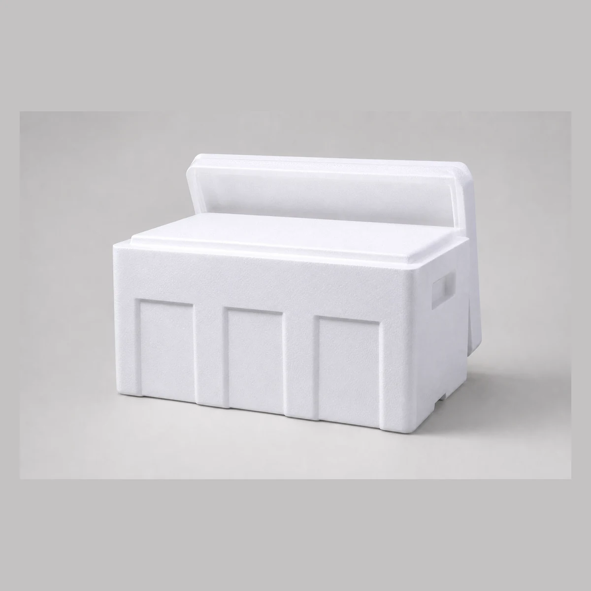 Insulated Foam Box with Lid, model JC2217, Hong Kong commercial equipment